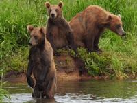 Bärentour Kamtschatka