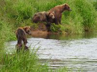 Bärentour Kamtschatka