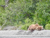 Bärentour Kamtschatka