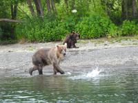 Bärentour Kamtschatka