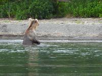 Bärentour Kamtschatka
