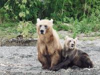 Bärentour Kamtschatka