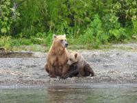 Bärentour Kamtschatka