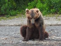 Bärentour Kamtschatka