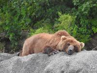 Bärentour Kamtschatka