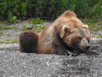 Bärentour Kamtschatka