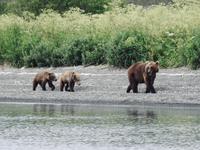 Bärentour Kamtschatka
