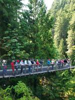Capilano Suspension Bridge Vancouver Kanada
