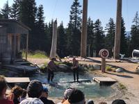 Grouse Mountain Lumberjack Show