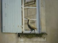 Ile de Re - Saint-Martin