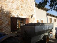 Mallorca - Weingut Taujana