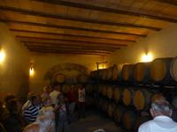 Mallorca - Weingut Taujana