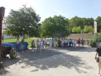 Mallorca - Weingut Taujana