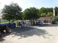 Mallorca- Weingut Taujana