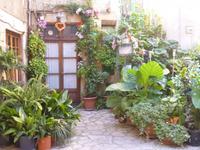 11_Mallorca (15)