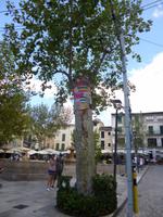 11_Mallorca (54)