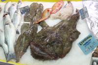 Markthalle in Le Havre