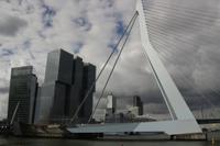 Blick auf die Erasmusbrücke in Rotterdam