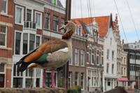 Spaziergang durch Delfshaven - Rotterdam