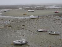 Guernsey, Guernsey Pearl