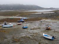 Guernsey, Guernsey Pearl