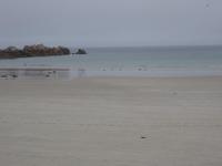 Guernsey, Pembroke Bay