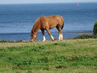 Point de Saint Mathieu - Idylle