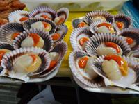 Santiago de Compostela - Altstadtmarkt, Jacobsmuscheln