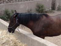 Fahrt nach Soller - Idylle