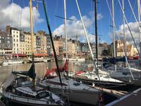 Idyllischer Hafen von Honfleur