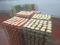 Ein Blick hinter die Kulissen ...