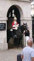 DSC_0160  Horse Guards
