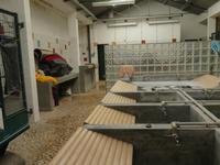 Lissabon -Altstadt - öffentliches Waschhaus