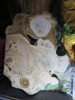 Gibraltar - Gibraltar-Felsen - Tropfsteinhöhle St. Michael - aufgeschnittener Tropfstein