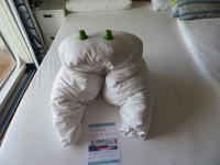 Mein Schiff 3 - Bettdecke als Frosch