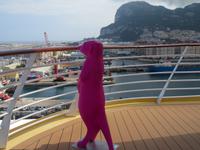 Mein Schiff 3 - Erdmännchen