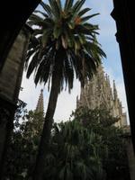 Barcelona - Kathedrale -