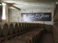 Mallorca - Weingut José L. Ferrer