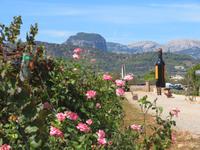 Mallorca - Weingut José L. Ferrer
