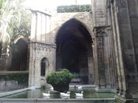 Barcelona - Spaziergang durchs gotische Viertel, im Kreuzgang der Kathedrale
