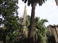 Barcelona - Spaziergang durchs gotische Viertel, im Kreuzgang der Kathedrale