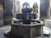 Barcelona - Spaziergang durchs gotische Viertel, im Kreuzgang der Kathedrale