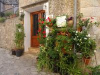 Mallorca - Bummel durch Valldemossa