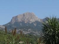 Mallorca - Blick auf den Puig Major = mit 1445 Meter höchste Berg Mallorcas