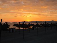 Malerischer Sonnenuntergang an der Playa de Palma