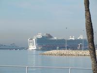 Zahlreiche Kreuzfahrtriesen im Hafen von Palma