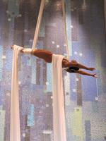 Immer wieder ein Raunen und Staunen wert ...