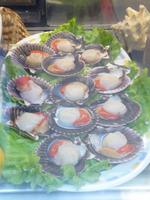 In Santiago de Compostela - Jakobsmuscheln