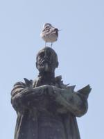 Spaziergang durch Cadiz