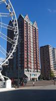 DSC_0325  Rooerdam City